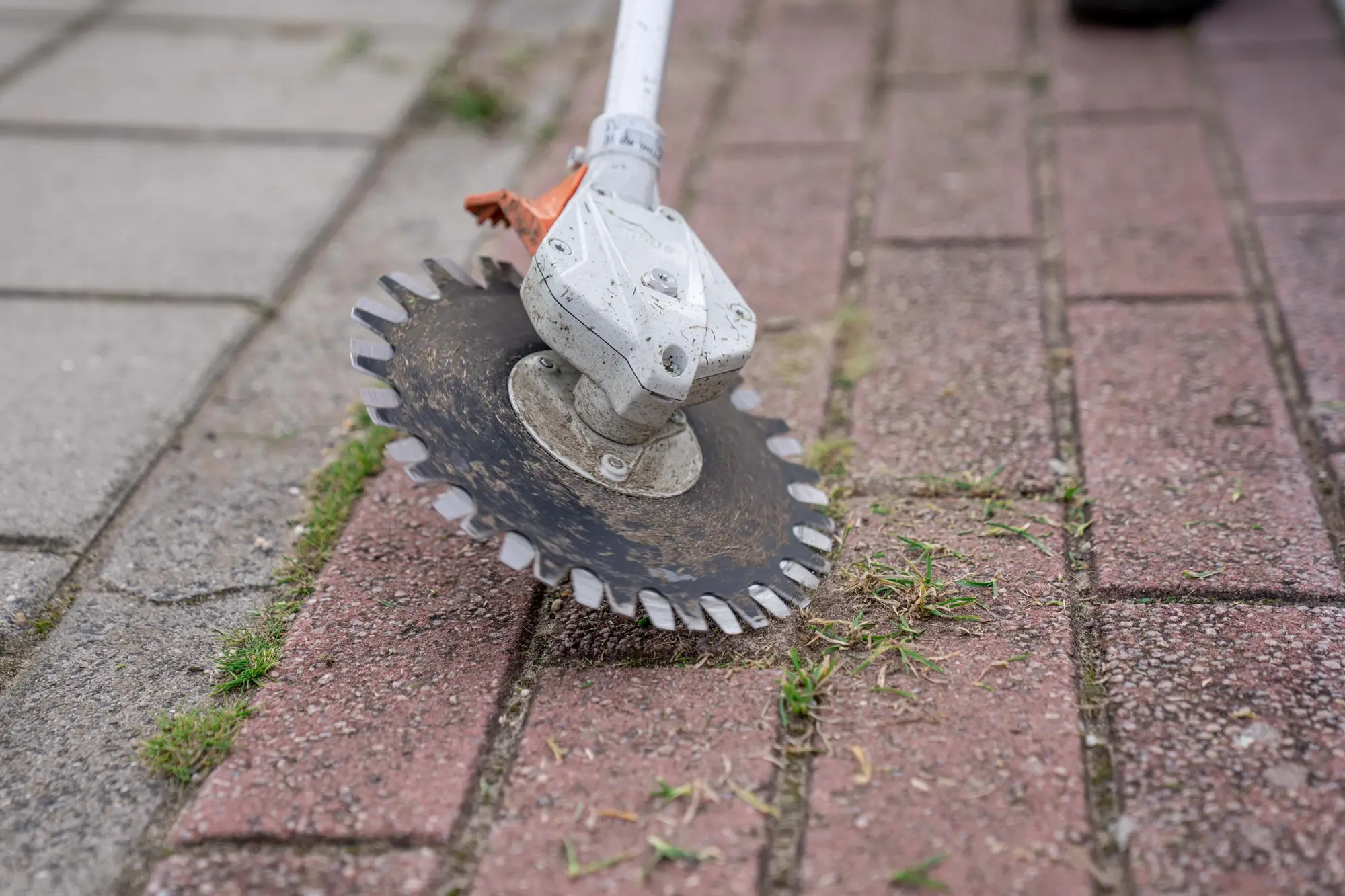 Onkruid stoep verwijderen met bosmaaier.webp